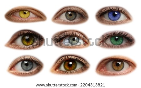 Collage with photos of beautiful eyes on white background Royalty-Free Stock Photo #2204313821