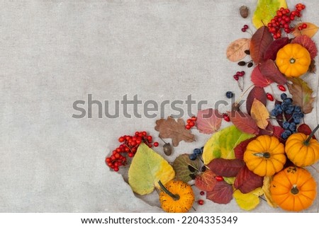 autumn composition with pumpkin and dry flowers in basket. fall seasonal natural background. symbol of Autumn harvest, Thanksgiving, Mabon sabbat and Halloween holiday. High quality photo Royalty-Free Stock Photo #2204335349