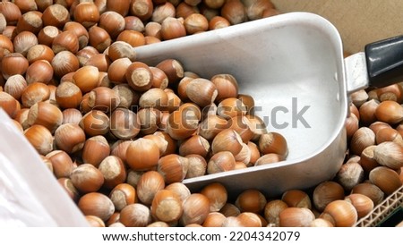 Close-up of a pile of beautiful hazelnuts in shell and a metal scoop in it