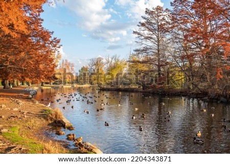 Pictresque and perfect blue sky day with ducks present at Kathryn Albertson Park on a sunny day in the city of Boise, Idaho. Royalty-Free Stock Photo #2204343871