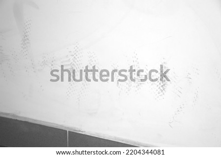 Bicycle tire marks on a white wall due to store bicycles on a common part of the building.  Royalty-Free Stock Photo #2204344081