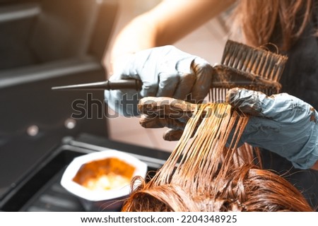 Hair Coloring In A Beauty Salon. Professional wizard paints the hair in the salon. Beauty concept, hair care. Hairdressing Services Royalty-Free Stock Photo #2204348925