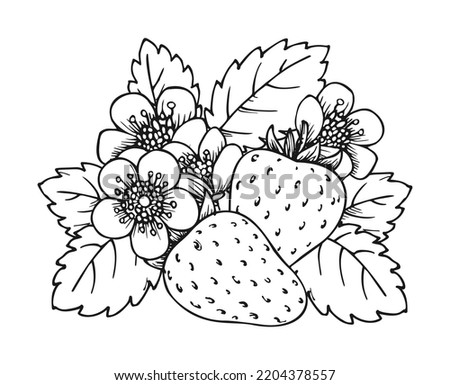 Strawberry blooming bush closeup hand drawn coloring book page. Two whole ripe berries with blossom flowers and leaves black and white sketch. Outline clip art for print greeting card poster patches
