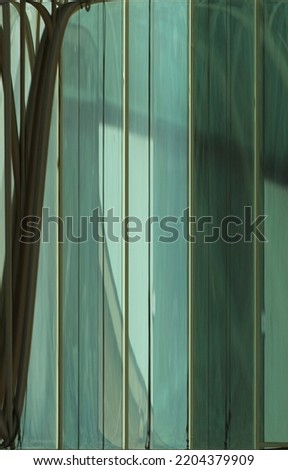 minimalist photography in green tones with vertical lines