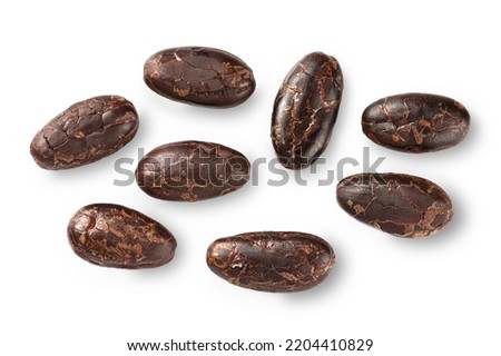 Cocoa beans isolated on white background. Royalty-Free Stock Photo #2204410829