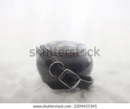Collar of a pet dog around an urn Royalty-Free Stock Photo #2204425345