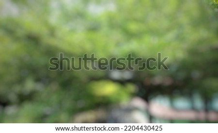 defocused abstract background of green tree with beautiful small leaves

