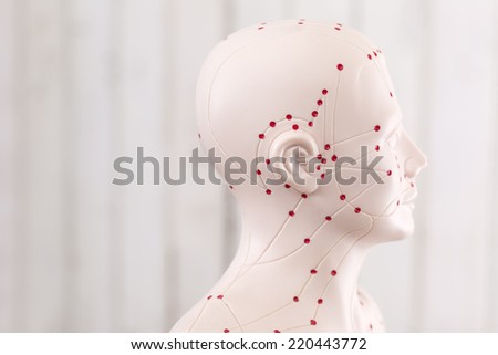 Chinese acupuncture puppet against wooden wall Royalty-Free Stock Photo #220443772
