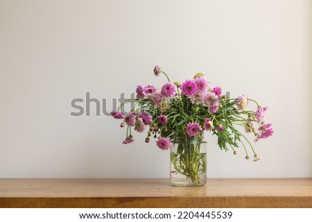 Close up of handpicked purple daisies in glass jar on oak table against beige wall (selective focus) Royalty-Free Stock Photo #2204445539