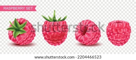 Realistic ripe raspberry berries on transparent background isolated vector illustration Royalty-Free Stock Photo #2204466523