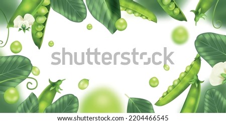 Realistic peas frame with green beans on white background vector illustration Royalty-Free Stock Photo #2204466545