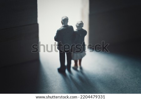Light door and miniature senior couple