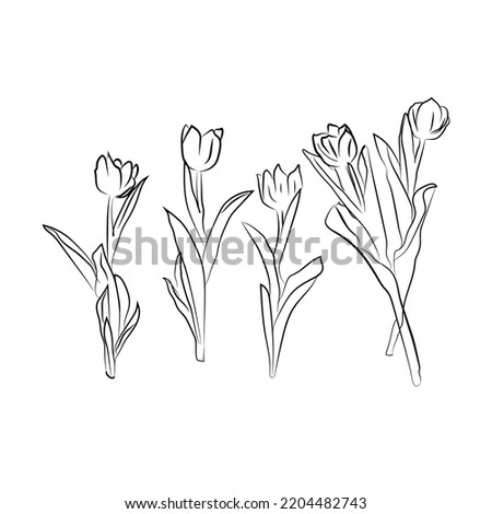 
Set of flowers. Vector flower drawing and sketch with black and white line-art.
