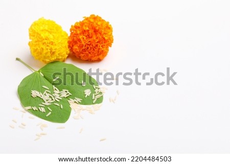 Indian Festival Dussehra, showing golden leaf (Piliostigma racemosum) and marigold flowers on white background. Royalty-Free Stock Photo #2204484503