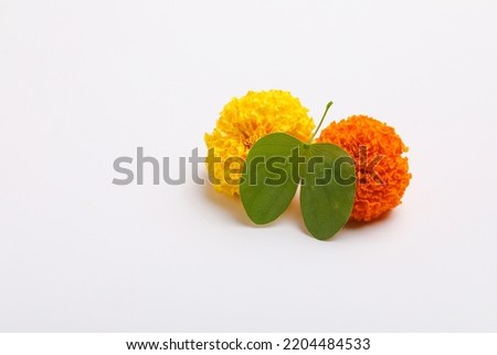 Indian Festival Dussehra, showing golden leaf (Piliostigma racemosum) and marigold flowers on white background. Royalty-Free Stock Photo #2204484533