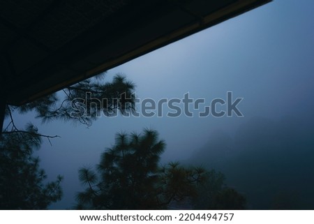 Foggy mountains during rainy season, trees forest during rainy evening 