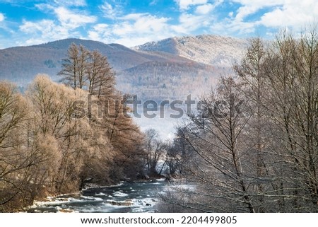 Beautiful winter morning in the forest. River made of ice in winter. Bright rays break through thin fog and tree branches. winter view of the river