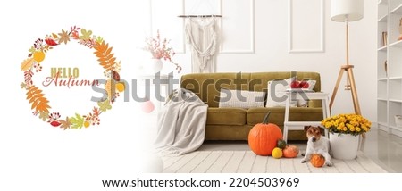 Comfortable sofa with beautiful flora decor and cute dog in room. Hello autumn