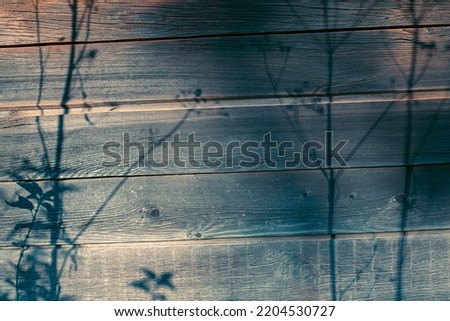 Dark wooden background with shadow in the form of plant silhouette, a play of light and shadow in a summer airy background with a silhouettes of a plants on the wooden surface.  copy space