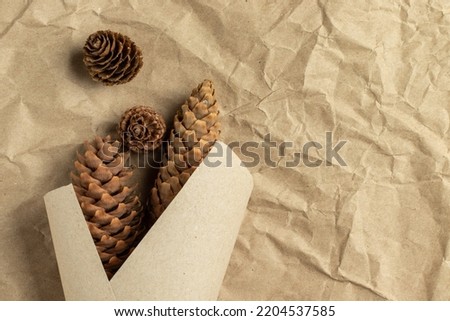 Conifer cones in a paper cone on paper background. Top view.