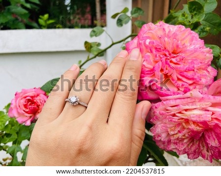 Beautiful diamond ring on the left ring finger of woman, symbol of engagement and marry. Purpose for marry me. With beautiful sweet pink kordes jubilee roses  are blooming and bright in the garden.