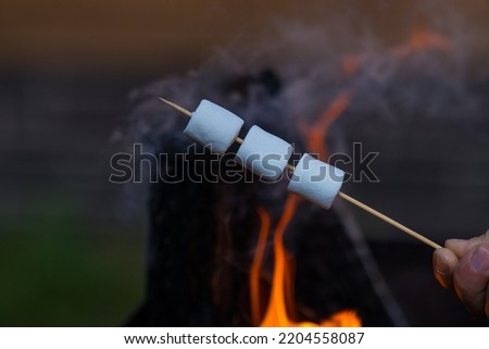 Person roasting marshmallows over campfire. Summer picnic