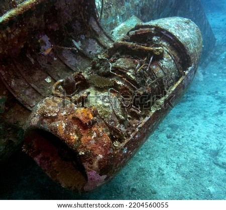 An engine on the Tri-Bird airplane wreck Boracay Island Philippines