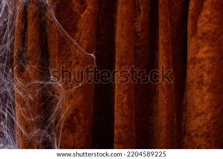 Halloween composition with spiderwebs and spiders on velvet curtain background. Halloween party greeting card mockup. Copy space. 