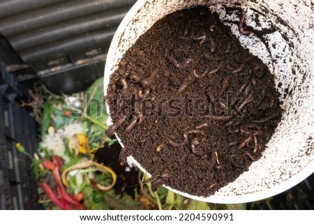 Earthworms and compost bin. Worm composting is using worms to recycle food scraps and other organic material into a valuable soil amendment called vermicompost, or worm compost. 