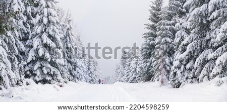  A snowy walk road in the mountains. Beautiful snowy landscape Royalty-Free Stock Photo #2204598259