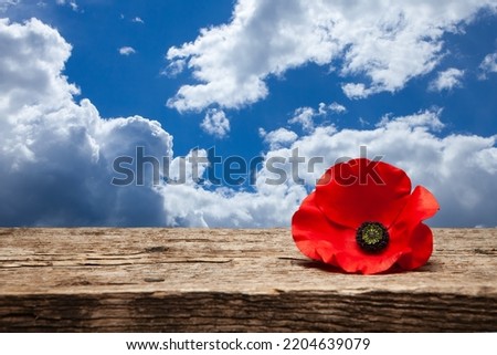 Poppy pin for Remembrance Day. Poppy flower on old beautiful high grain, detailed wood on background of blue sky.
