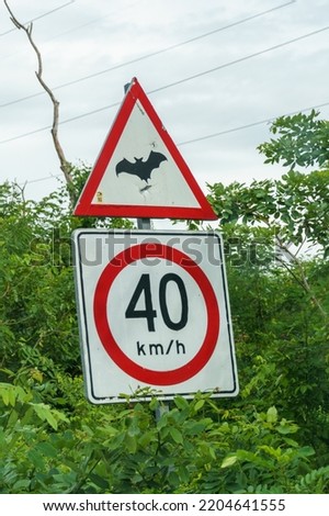Unusual watch out for bats road sign in Calakmul Mexico