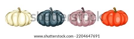 A set of pumpkins.Autumn pumpkins of different colors .Items for Thanksgiving, Halloween.Vector illustration.