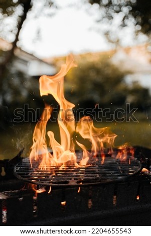 bbq grill fire on backyard. Selective focus Royalty-Free Stock Photo #2204655543