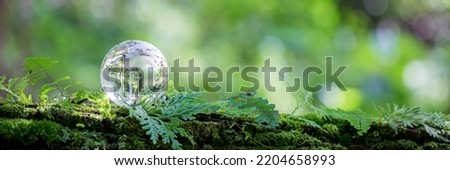 Globe planet glass in green forest with bokeh nature lights. world environment day. concept of environment conservation, protect ecology earth and environmental eco-friendly life banner and copy space