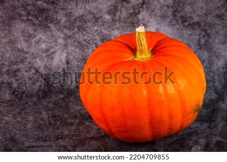 Orange pumpkin with a stem, close-up on a gray grunge background. Autumn background. Copy space.