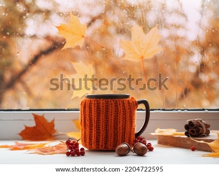 Autumn rainy day outside the window . A cup of coffee or tea on the windowsill in a knitted jacket. An old book, autumn leaves, acorns and mountain ash branches.