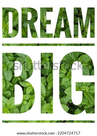 motivational and inspirational quote about Dream Big