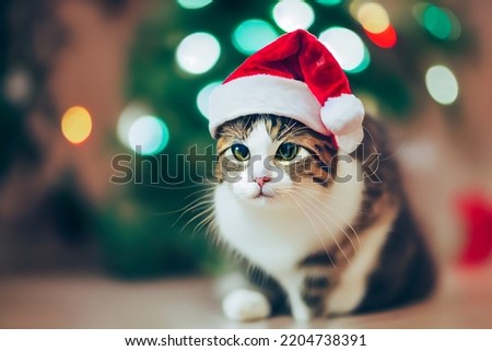 3D rendering close up kitten wearing a Santa Claus hat 