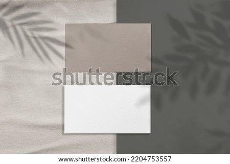 Luxury business card moukup paper.Square Paper Mockup with realistic shadows overlays leaf. Shadow Of A Tropical Plant.