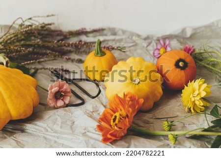 Autumn still life. Pumpkins , scissors and autumn flowers composition on rustic paper in modern room. Hello fall. Happy Thanksgiving card. Autumnal banner
