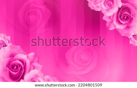 pink roses flower placed on the top right corner, and bottom left corner on the gradient pink background, blur roses flower, banner, card, copy space
