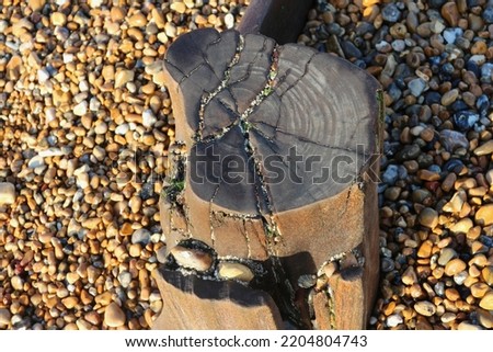 Remain of a groyne on pebble beach