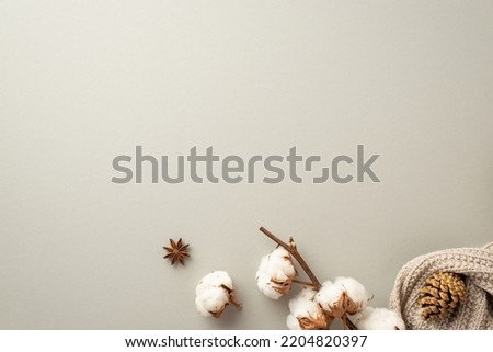 Winter mood concept. Top view photo of cozy plaid anise pine cone and cotton branch on isolated pastel grey background with copyspace