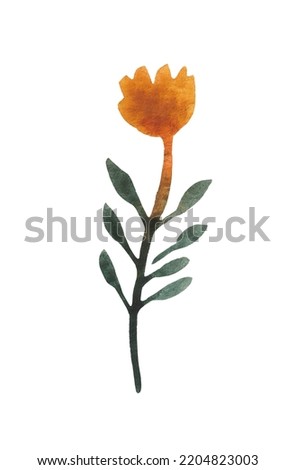 Isolated element on a white background. Hand drawn watercolor stylized dried flower. For design on the theme of autumn, thanksgiving, farm fairs, school events, halloween