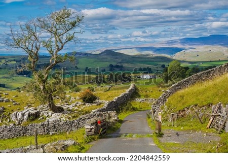 The Winskill Stones Nature Reserve lies above the village of Stainforth. It is home to an amazing section of limestone pavement. Royalty-Free Stock Photo #2204842559