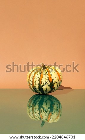 Minimal Halloween scene with pumpkin in green, orange and yellow color. Creative autumn concept of pumpkin reflection on glass.