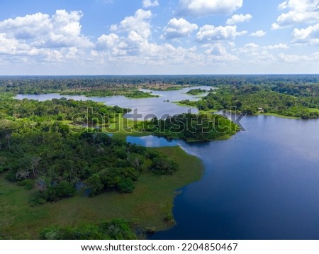 Aerial view of Igapó, the Amazon rainforest in Brazil, an incredible green landscape with lots of water and untouched nature Royalty-Free Stock Photo #2204850467