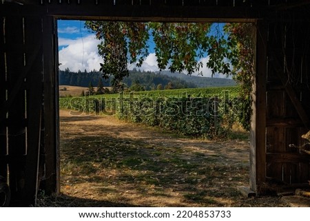 A view of a vineyard through an open barn door at a vineyard near Salem Oregon, zenith Royalty-Free Stock Photo #2204853733