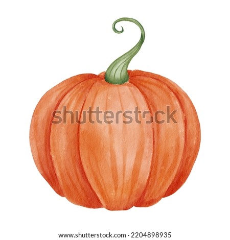 Pumpkin. Watercolor isolated illustration. Clip art element